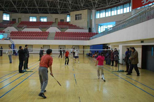 體育木地板 體育木地板