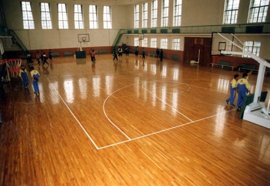 體育木地板 體育木地板