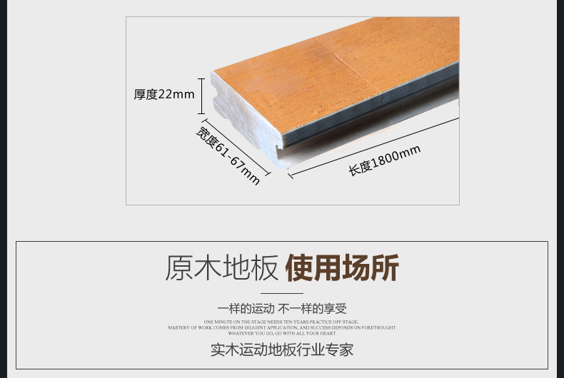 歐氏楓木二級運動地板圖 歐氏楓木二級運動地板尺寸圖