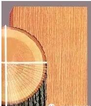 徑切與呈現出來的紋理效果 徑切與呈現出來的紋理效果