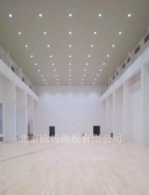 四川宜賓中建中核燃料元件有限公司體育館木地板項目