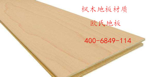 楓木運動木地板 楓木運動木地板