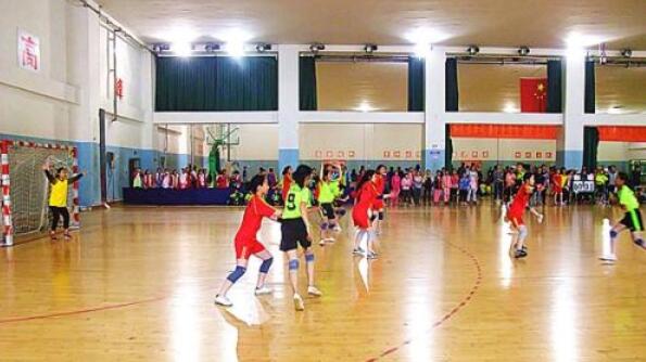 手球館場地的標(biāo)準(zhǔn)尺寸和等級劃分 手球館場地的標(biāo)準(zhǔn)尺寸和等級劃分