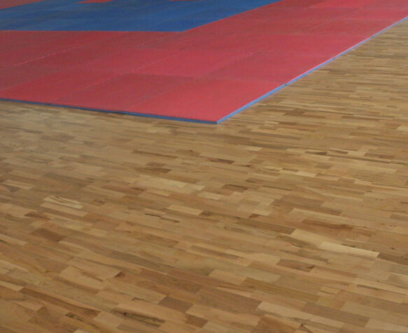 體育運動地板 體育運動地板