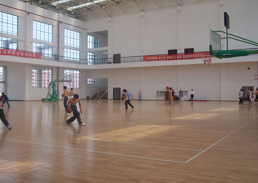 體育木地板